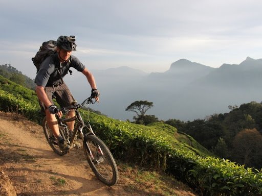 Kerala Bicycle Tour: The Tropical Highlights 7 Days
